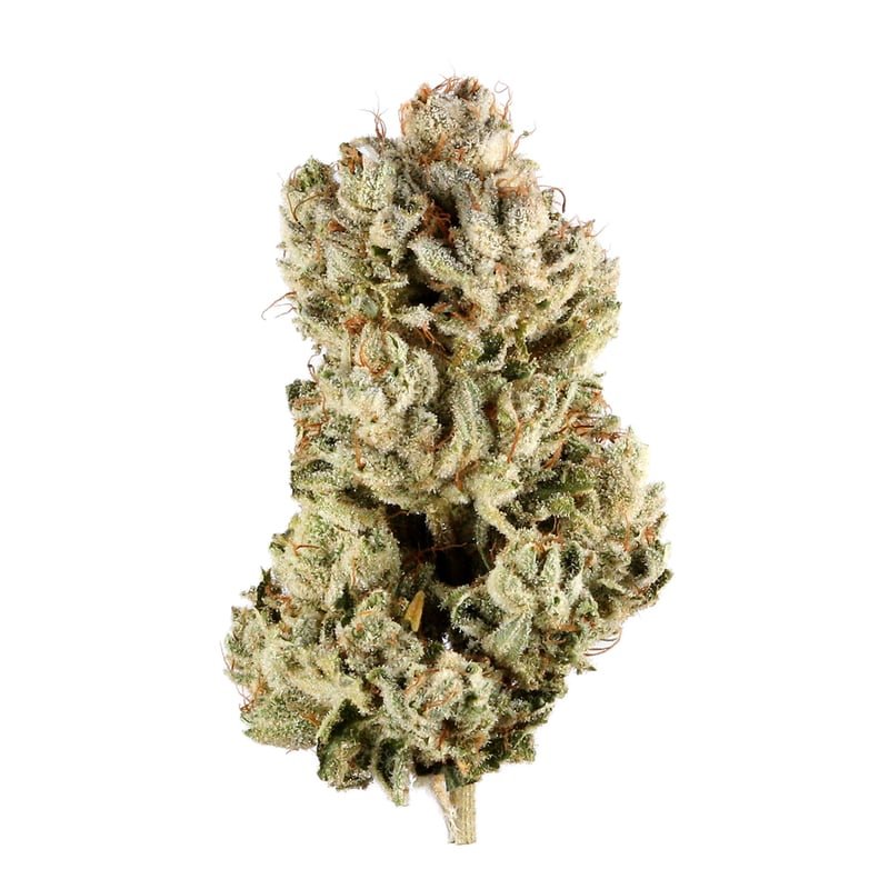 Gold Tier Flower